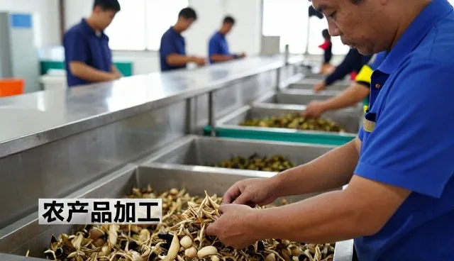 粮食加工帮助农产品加工提升服务能力