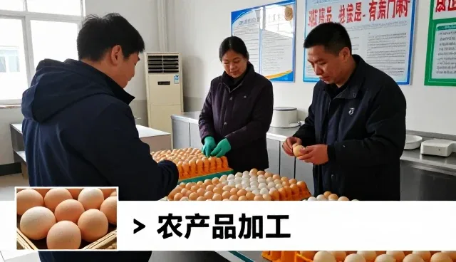 冷库服务适合哪些应用环境？